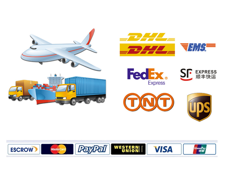 Shipping and Payment