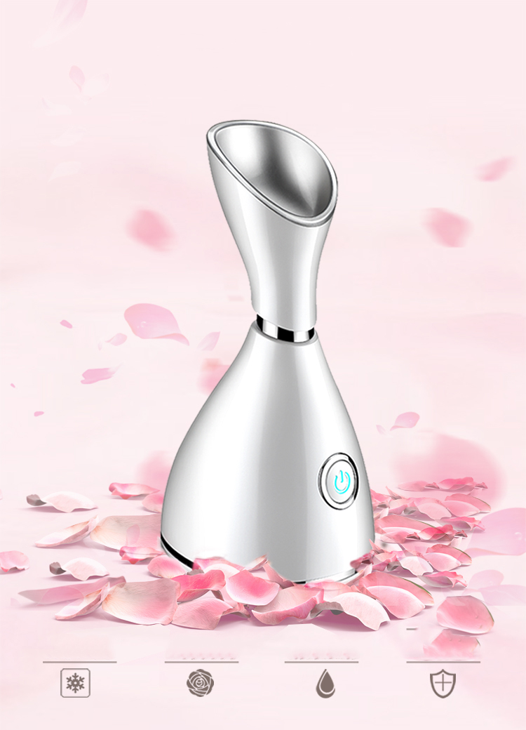 Nano Face Steamer 2