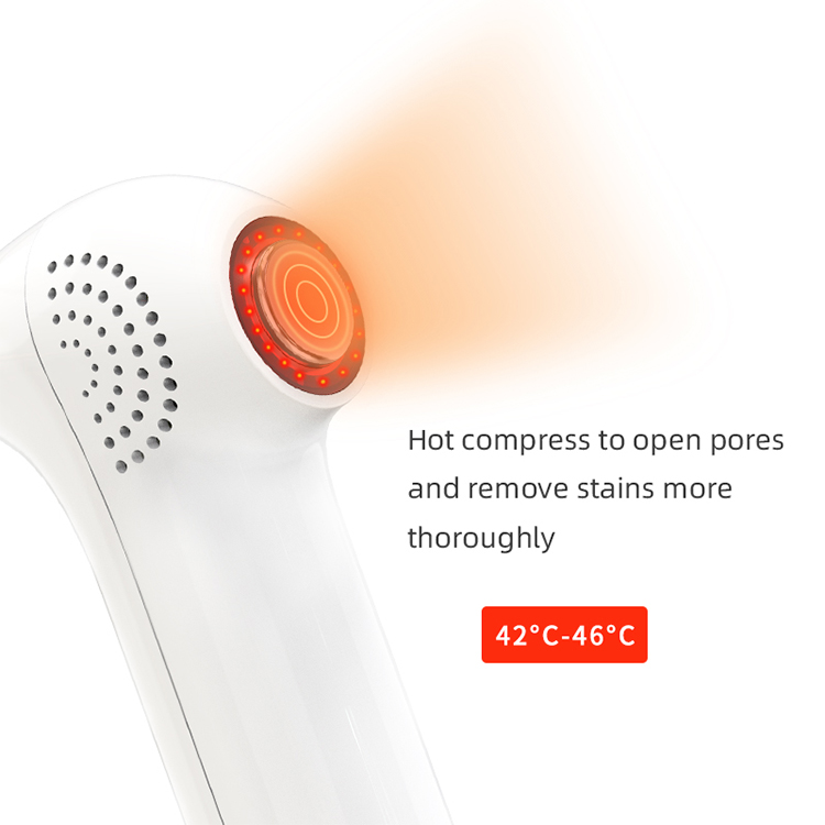 NewFace Skin Care Shrink Pores Tighten Facial Beauty Vacuum Absorption 65KPA Strong Suction Cooling Heating Blackhead Remover