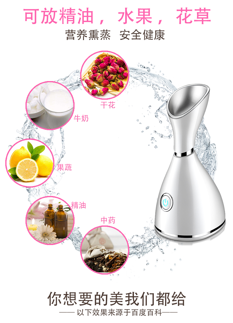 Nano Face Steamer 3