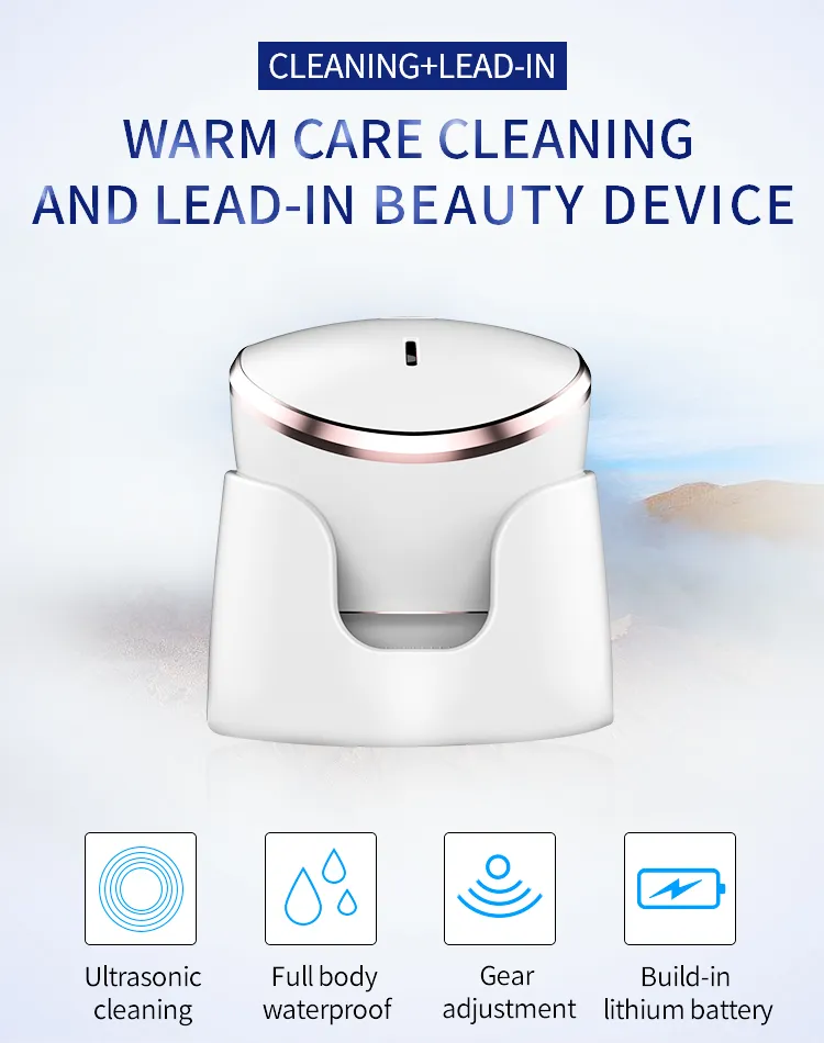 Cleansing Brush 1