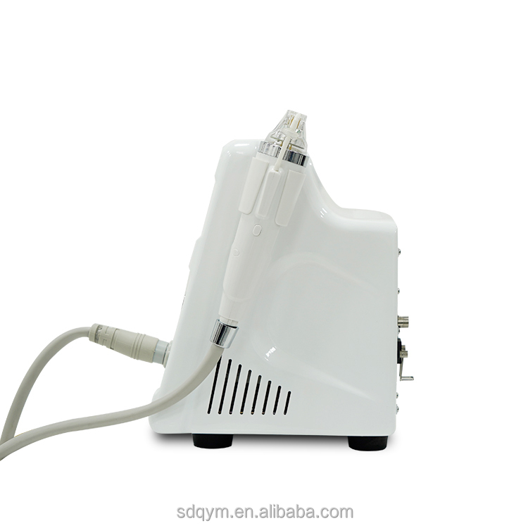 Thermolift Wrinkle Remover Microneedle Radiofrequency Scarlet Fractional RF Needle Skin Tightening Microneedling Machine