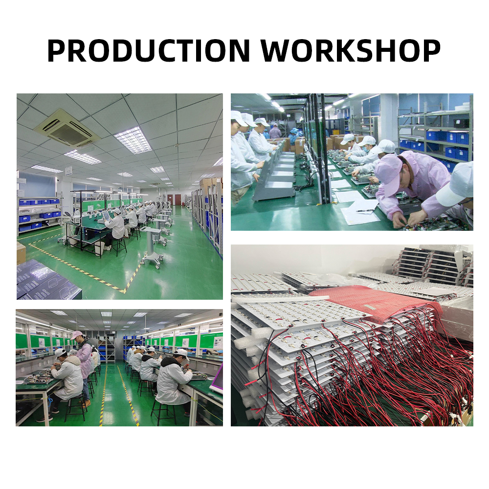 Company Overview