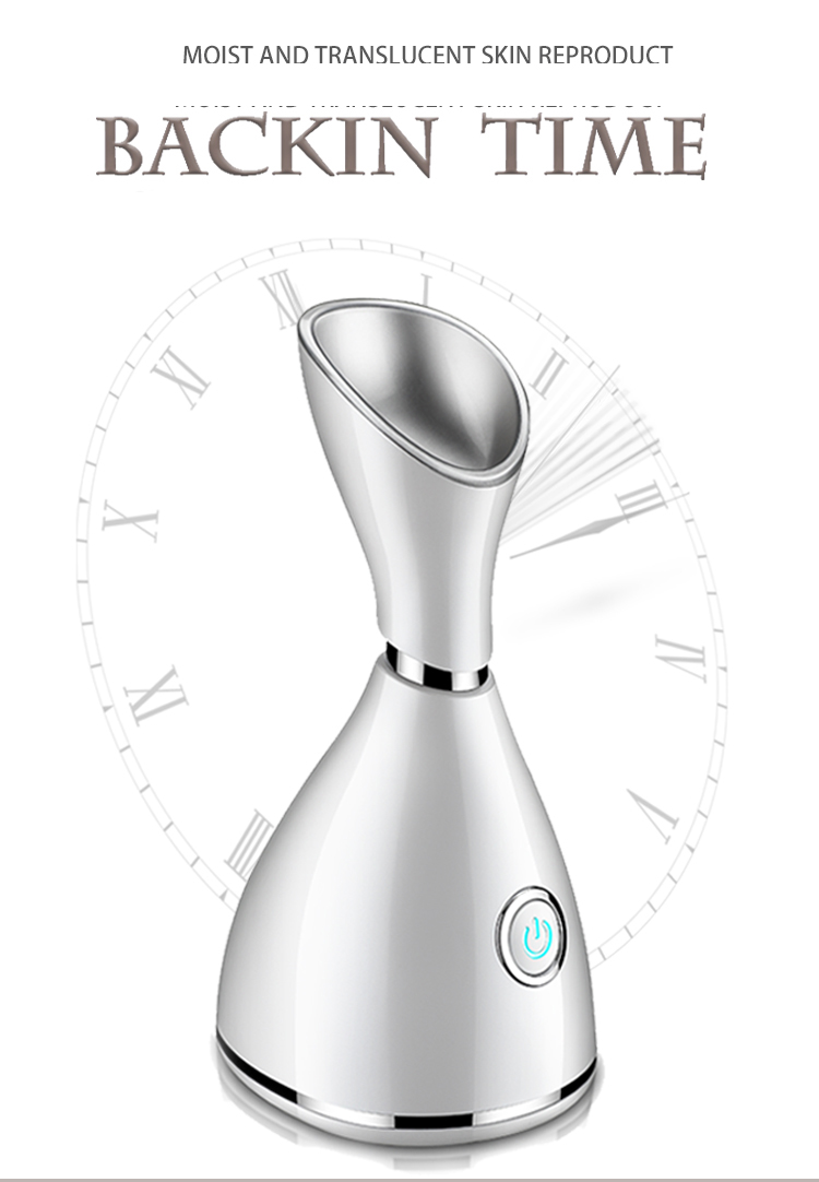 Nano Face Steamer 1