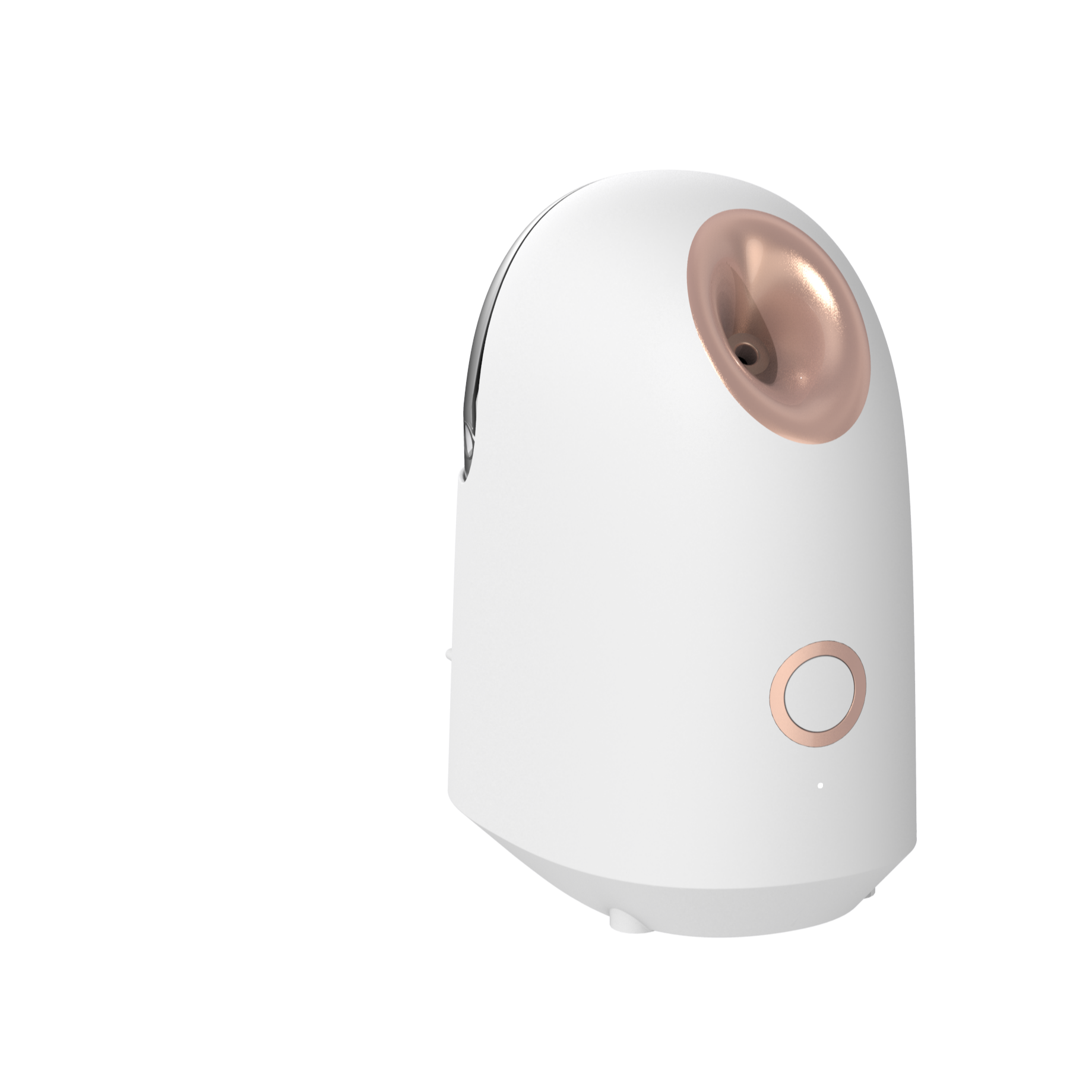 High Quality Nano Ionic Facial Steamer Vapozone Warm Steam and Deeply Moisture Instrument Electric Nano Mister