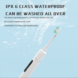 IPX6 Waterproof Rechargeable Ultrasonic Teeth Cleaner Stainless Steel Head Dental Tartar Plaque Calculus Remover for Household