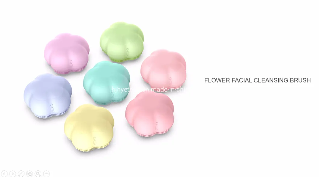 Cleansing Brush
