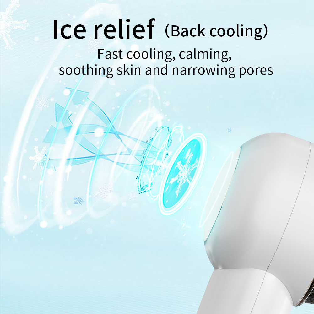 Mini LED Photon Skin Tightening Ultrasonic Clean EMS Face Lift Radio Frequency RF Beauty Home Use Machine