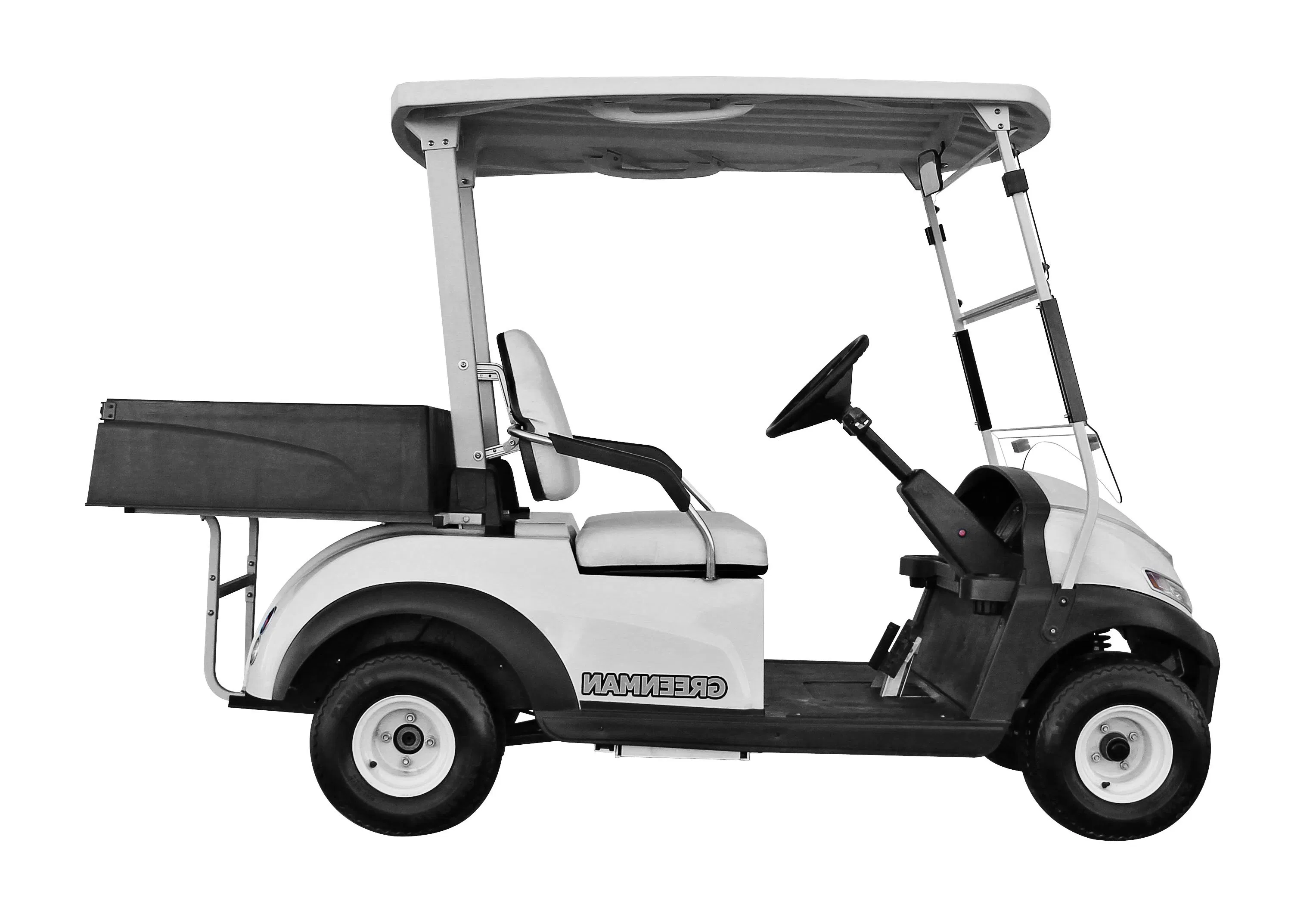 Utility Golf Car, 2 Seats Electric Golf Cart, Plastic Cargo Box