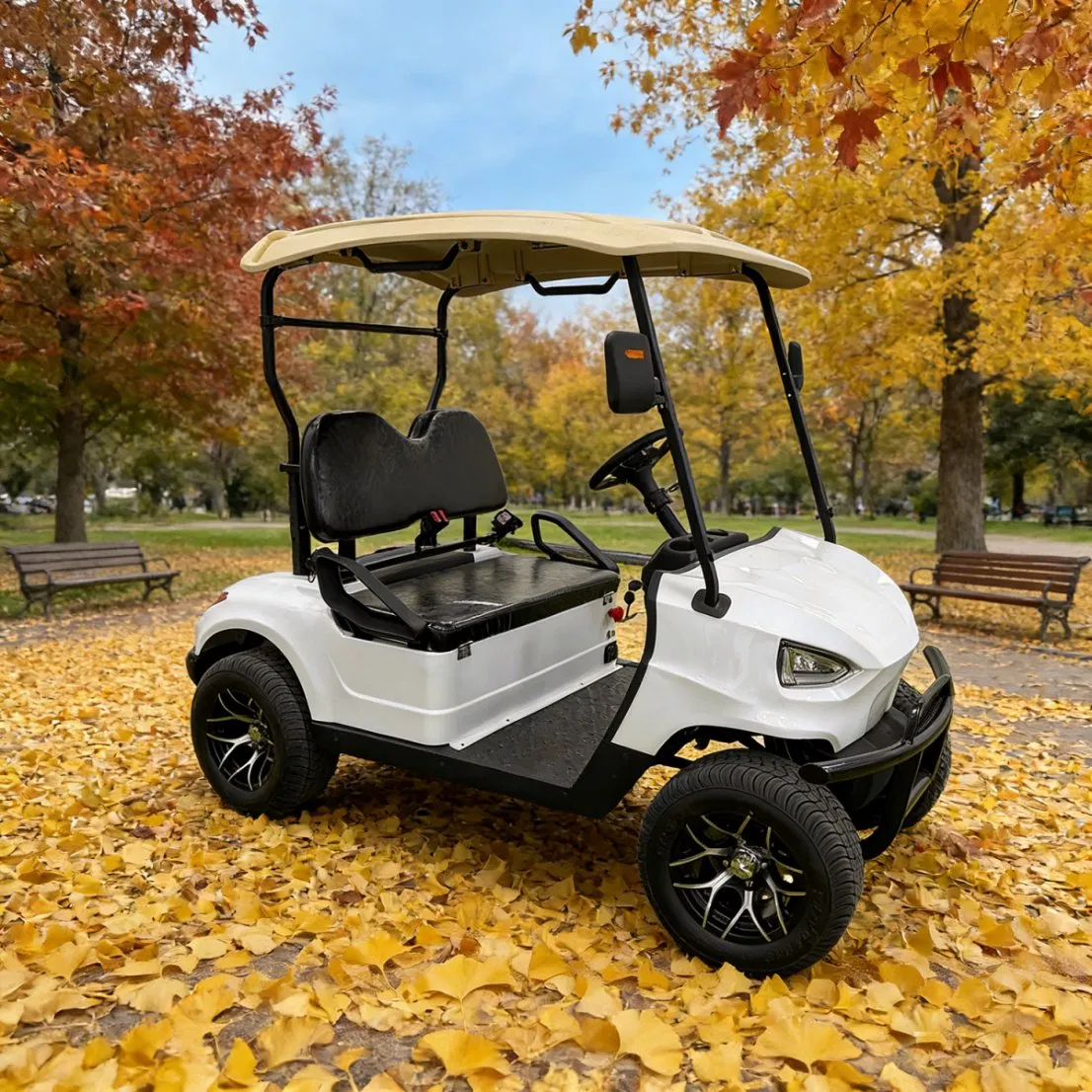 High Quality Anti-Rust Electric Lead Acid /Lithium Battery 2 Seats Lifted Golf Cart with Roof