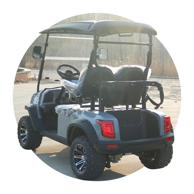Daily Patrol Electric Golf Cart with Smart Dashboard