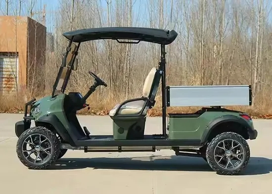 2 Seater Classic Electric Golf Cart with Cargo Box for Sale