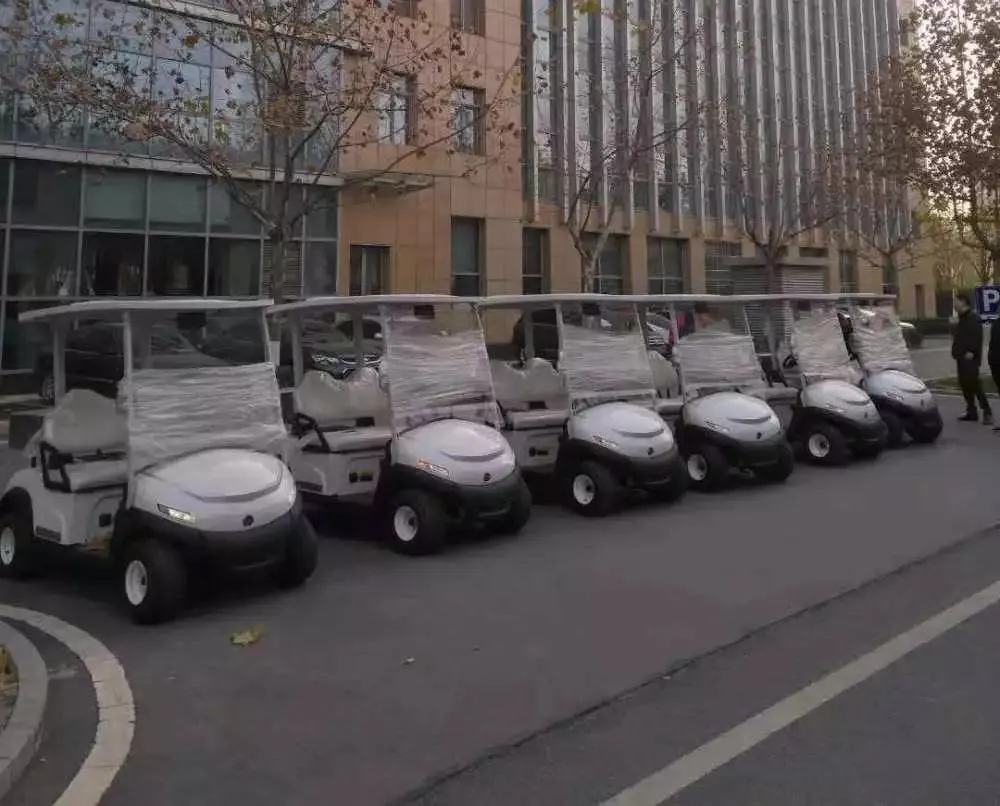 Two Seater Utility Vehicle H102