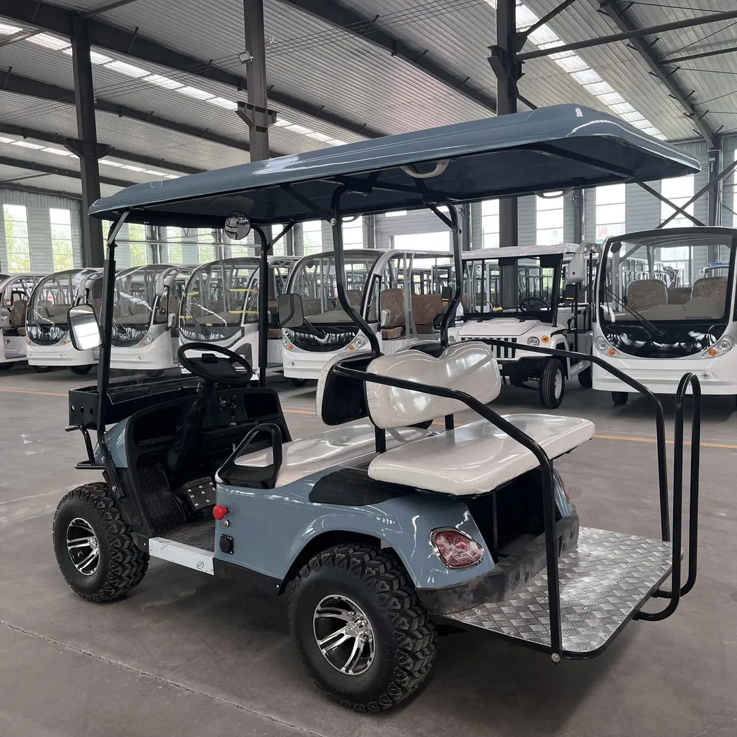 Electric Golf Cart View 6