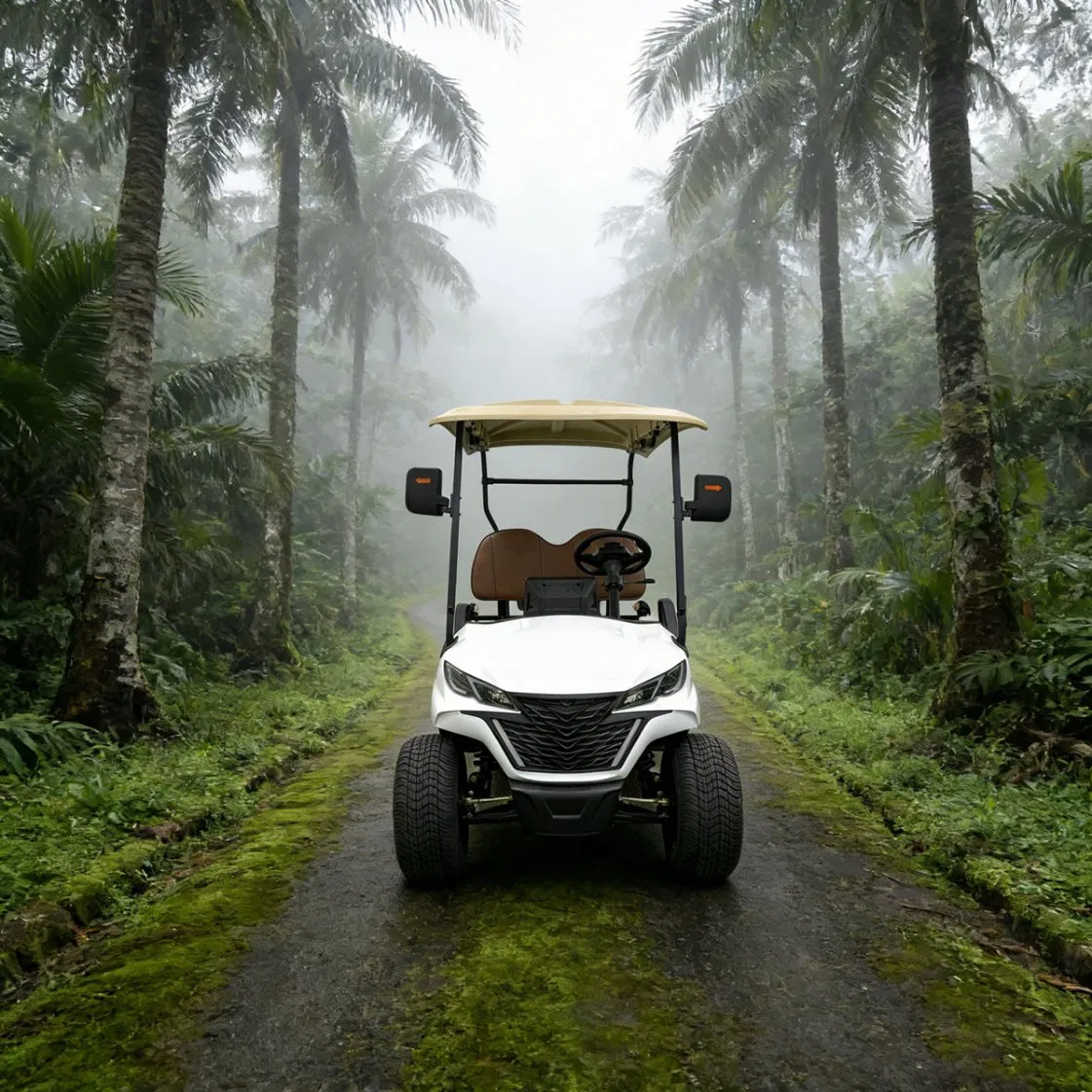 High Quality Anti-Rust Electric Lead Acid /Lithium Battery 2 Seats Lifted Golf Cart with Roof