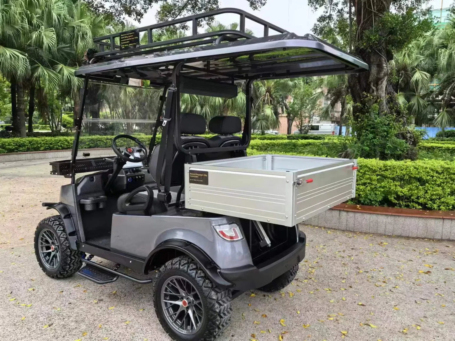 Battery Powered Electric Aluminum Utility Car with Electromagnetic Parking