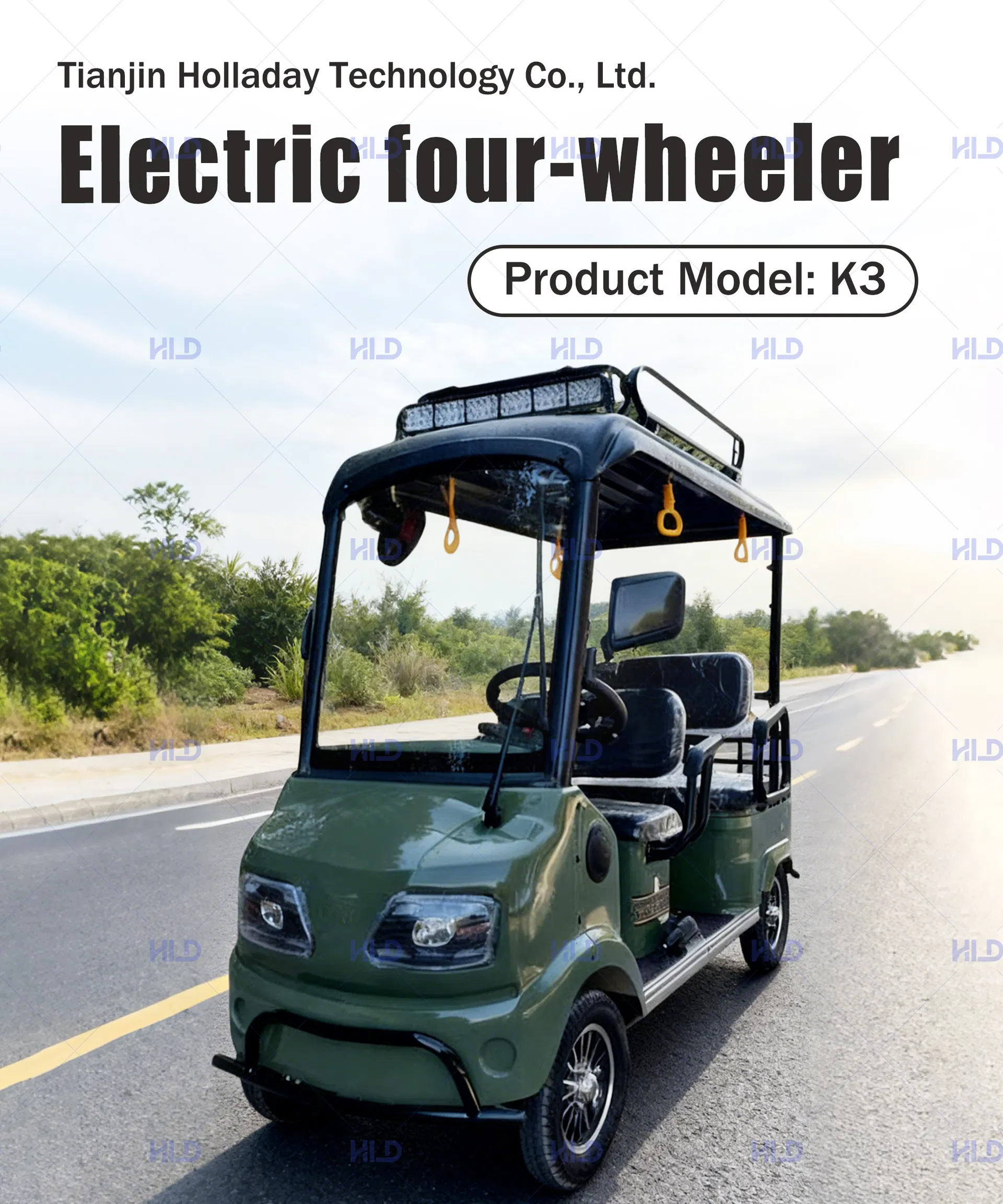 Electric Golf Cart