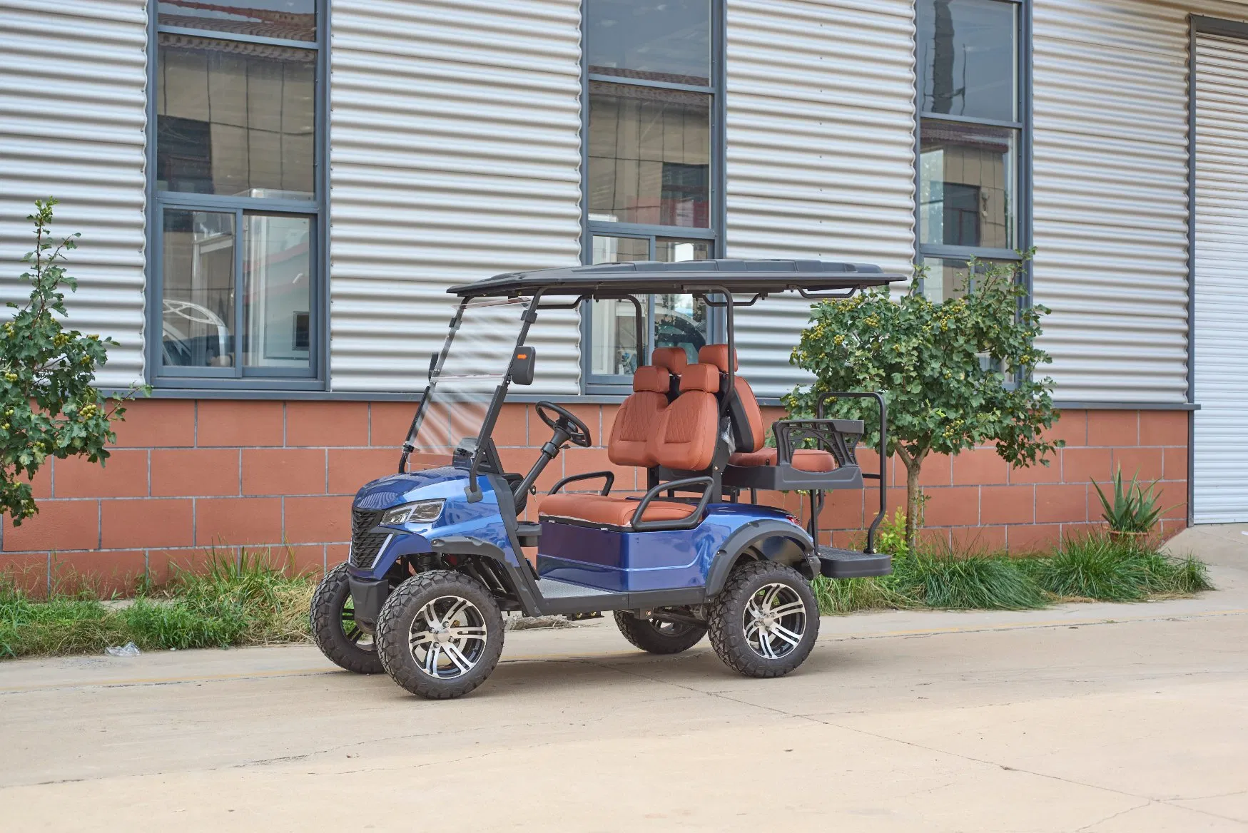 Multi-Function Dashboard Electric Golf Cart for Comprehensive Vehicle Data with Color LCD Screen