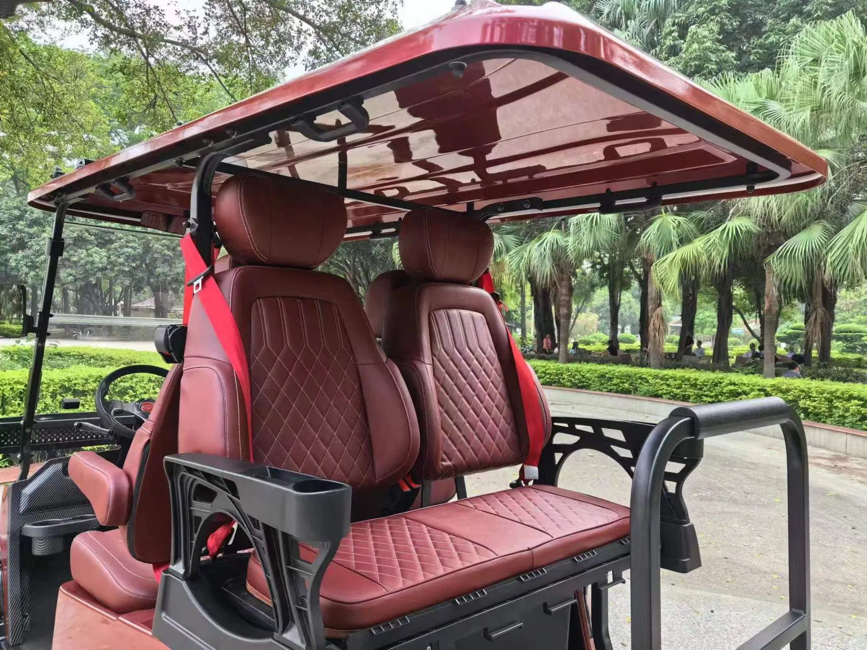 Multifunctional Back to Back Seat Electric Car Golf Buggy with Solar Panel