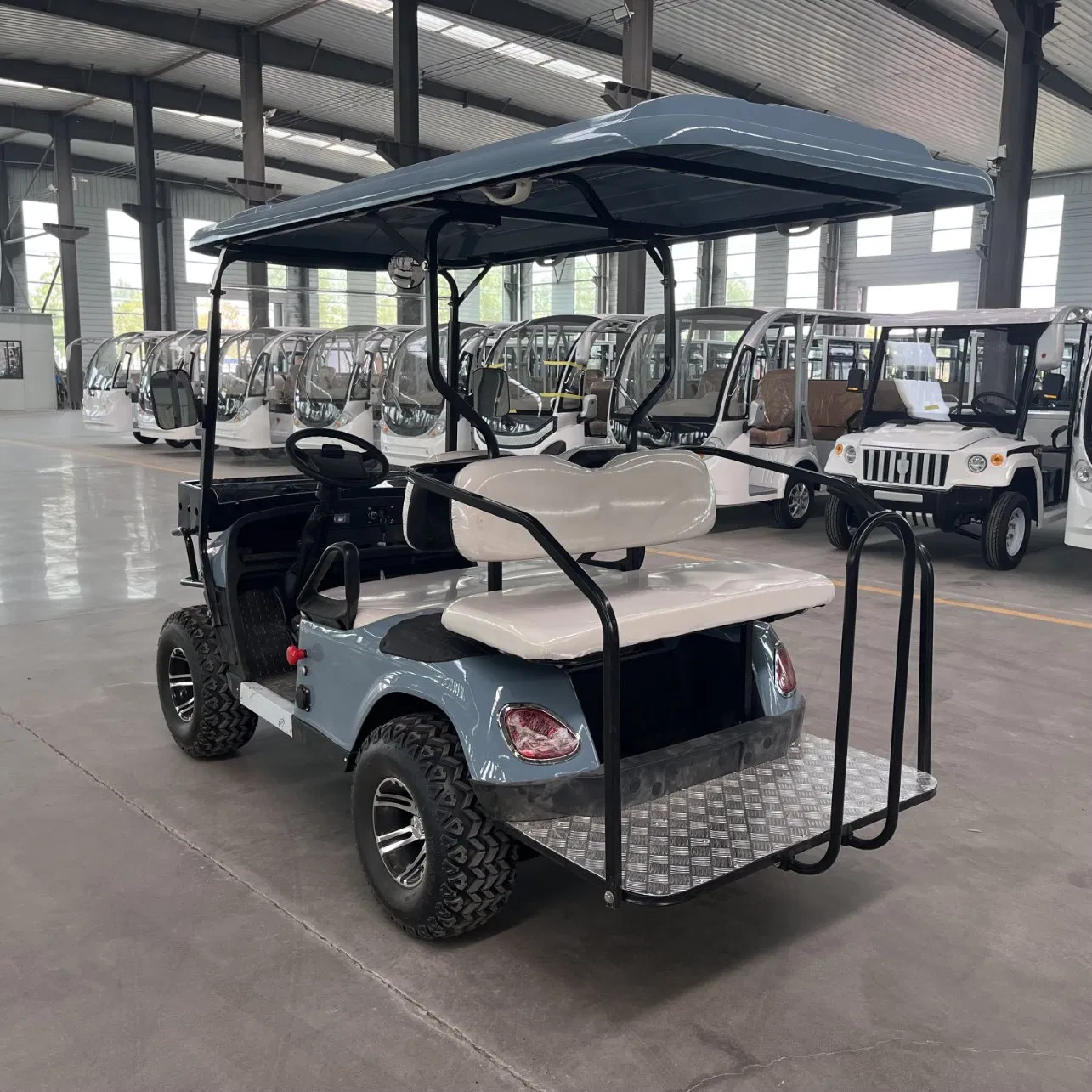 Wheel Drive Electric Lift Golf Cart