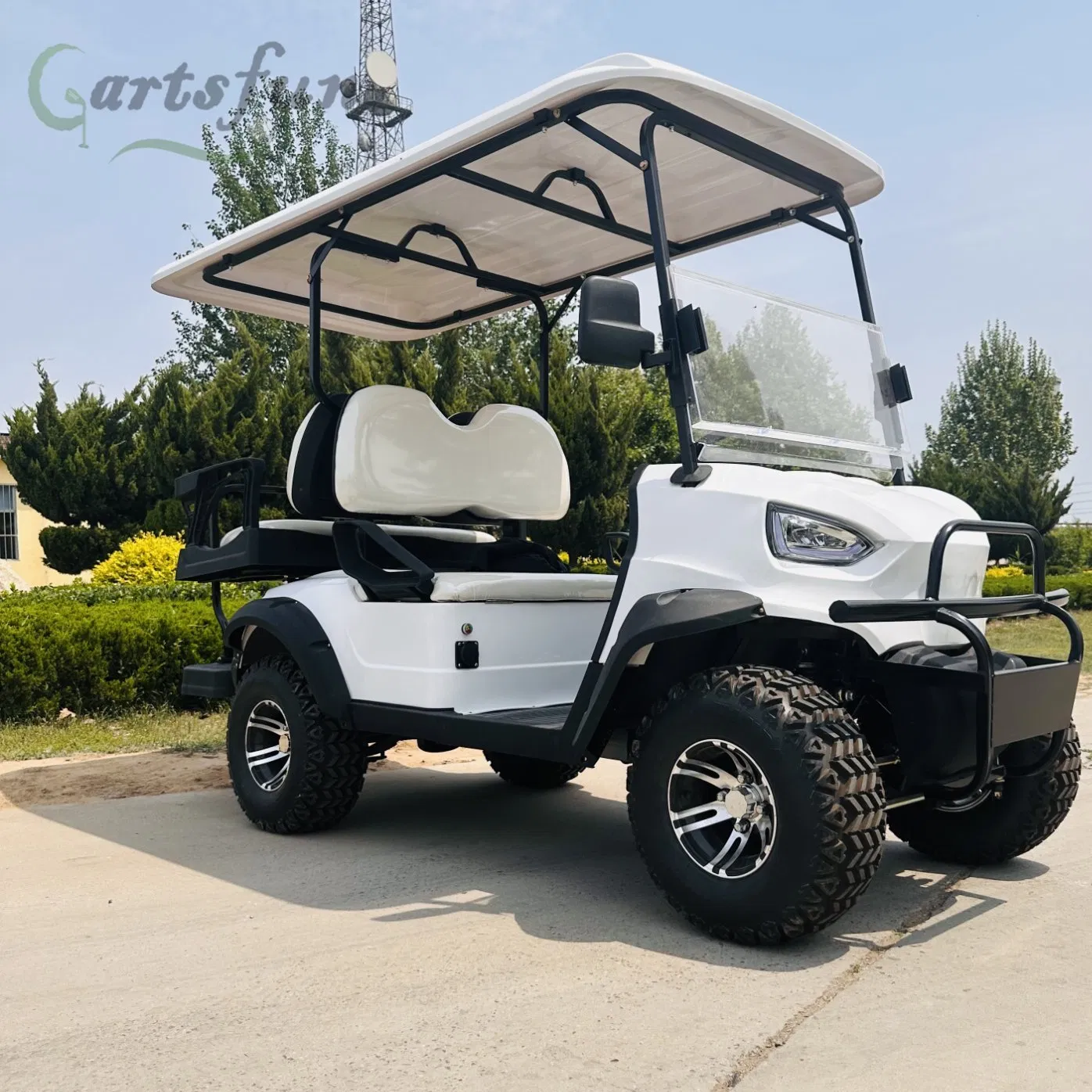 6 Seaters 60V Electric Vehicle with Roof Golf Cart with Competitive Price
