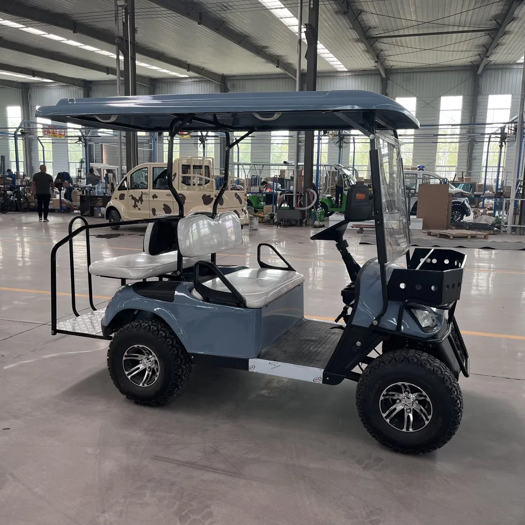 Electric Golf Cart View 1