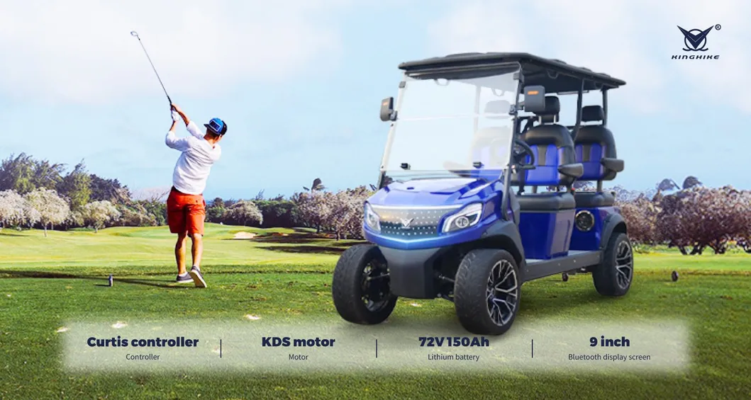 Luxury Electric Golf Buggy