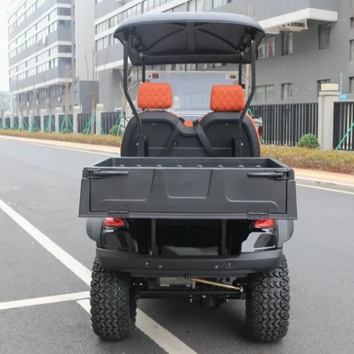 Lvzo Heavy-Duty Electric Golf Cart with Removable Cargo Box /Perfect for Golf Cart Course, Farms, and Industrial Sites