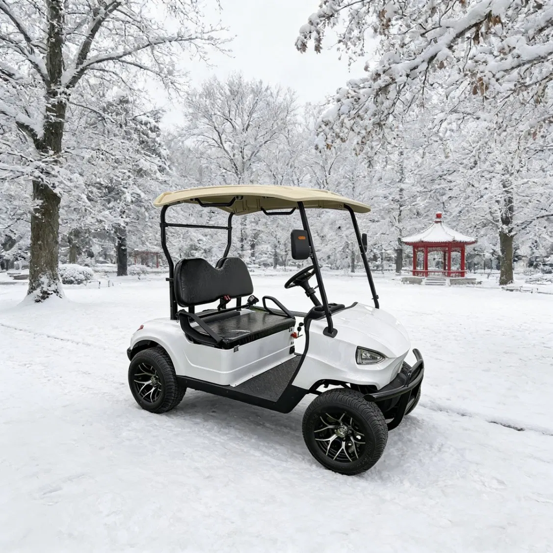 High Quality Anti-Rust Electric Lead Acid /Lithium Battery 2 Seats Lifted Golf Cart with Roof