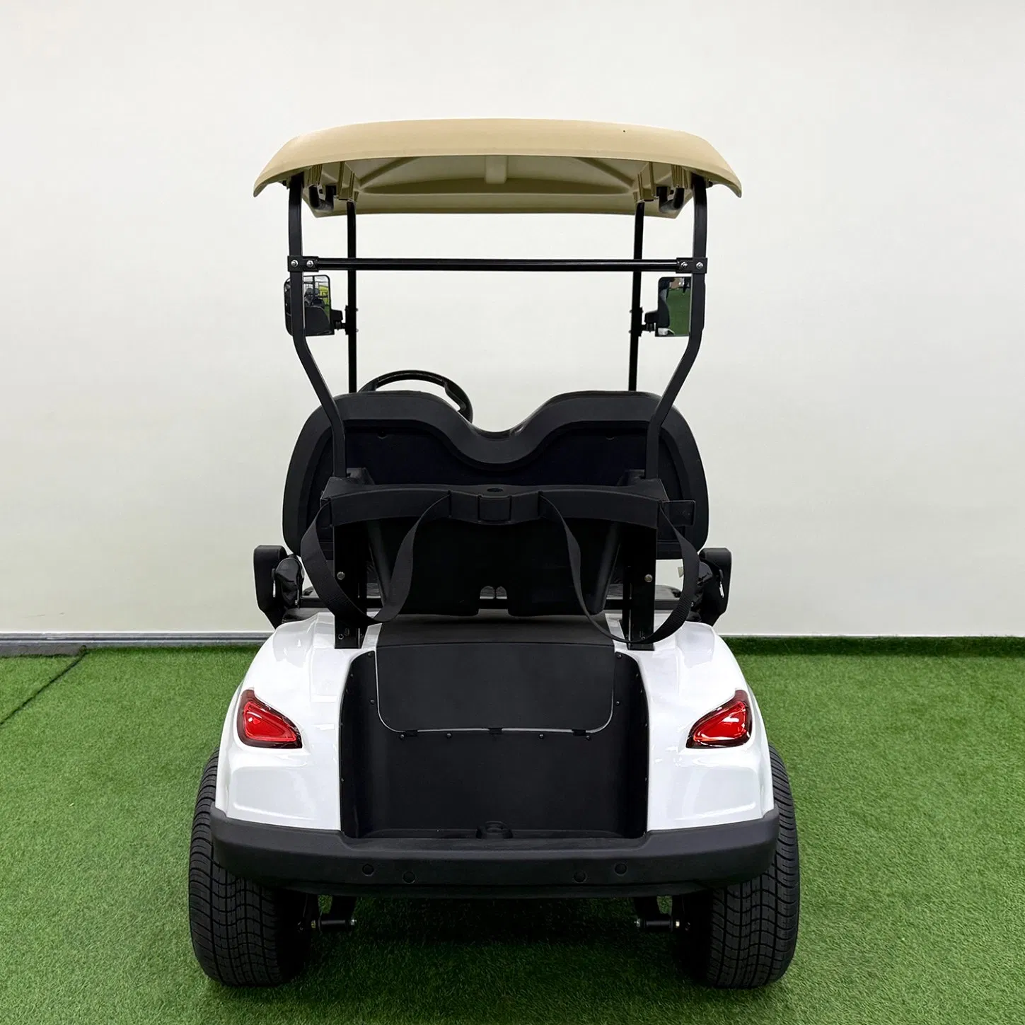 High Quality Anti-Rust Electric Lead Acid /Lithium Battery 2 Seats Lifted Golf Cart with Roof