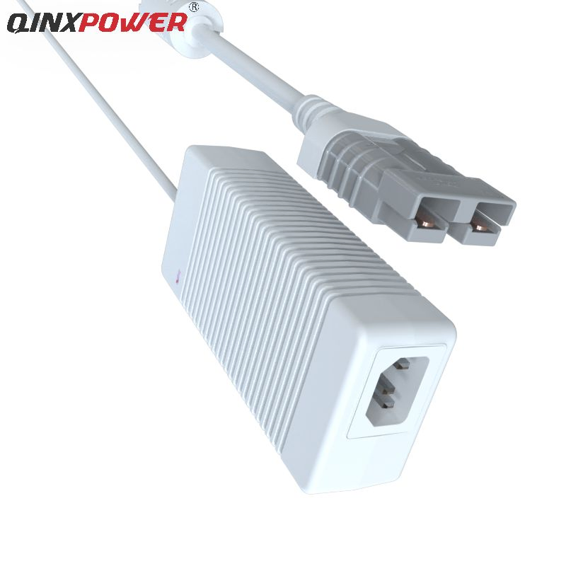 Golf Cart Ebike Charger 48V 2A Li Ion Battery Charger 48 Volt Lithium Battery Charging with UL CE