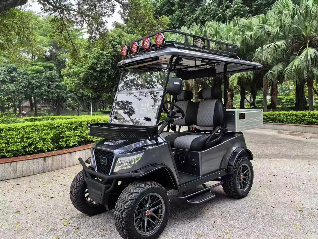 Electric Golf Cart Detail 2