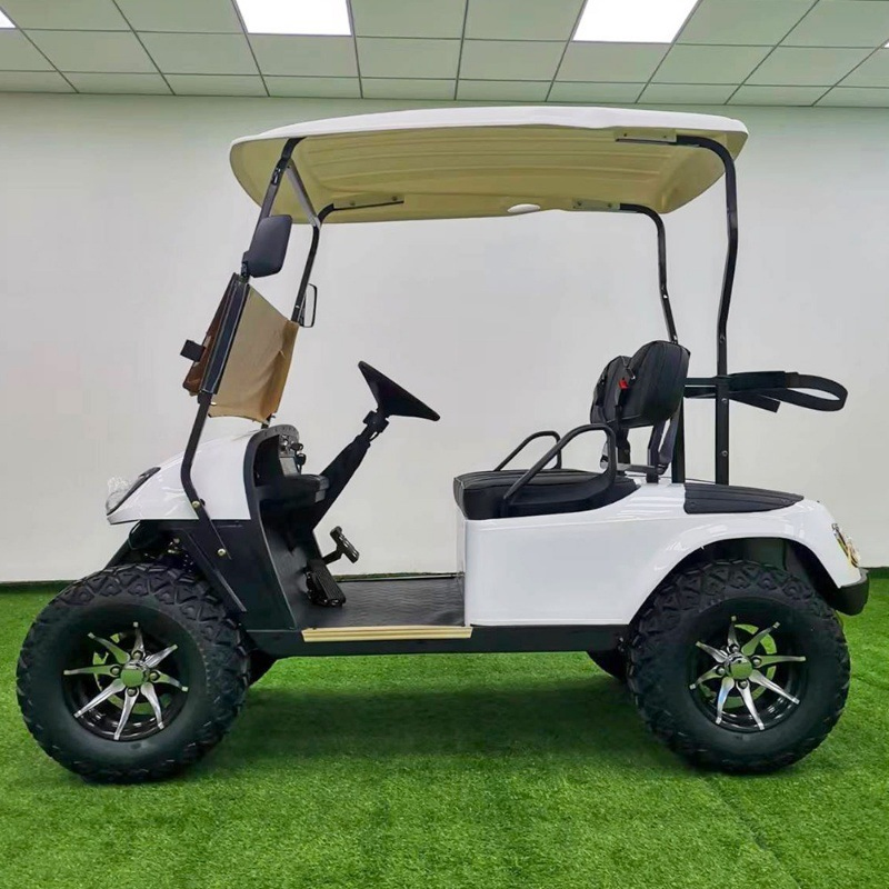 Electric Carts Motor Wheel 8 Flag 2023 Wind Modern Kit Seat Blanket Arm Rest Hub Fuel Pump Tire Mini 4X4 Buy a Bag Golf Cart