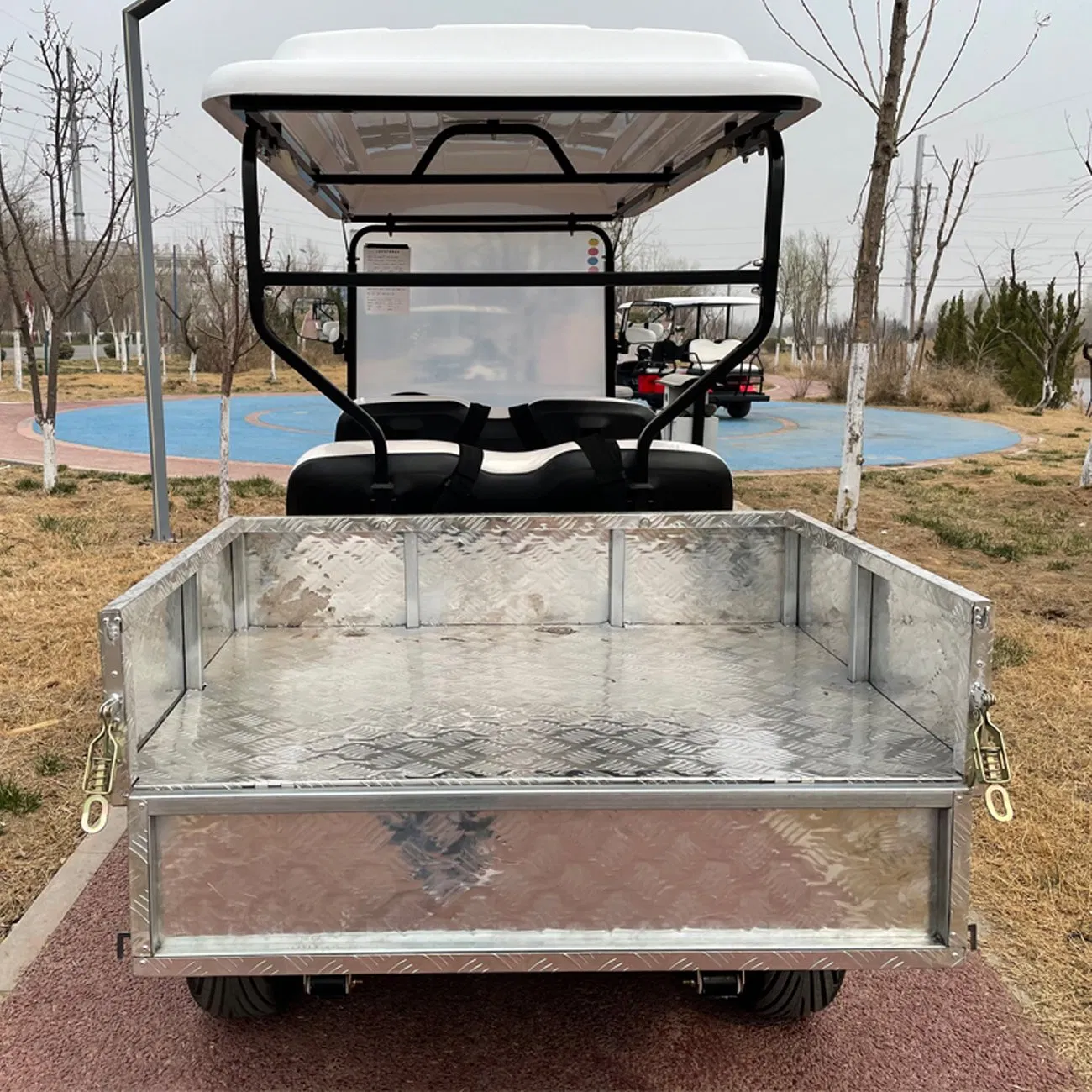 Luxury 4 Seater 48V/60V/72V Eectric Golf Cart with Rear Storage Box
