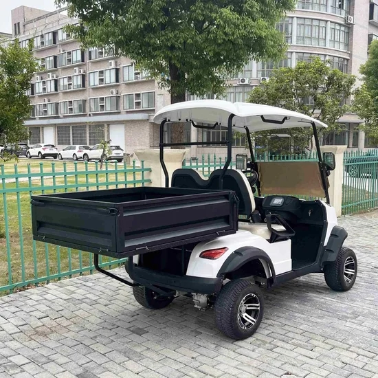 2025 2 Seats Golf Cart with Cargo Bucket