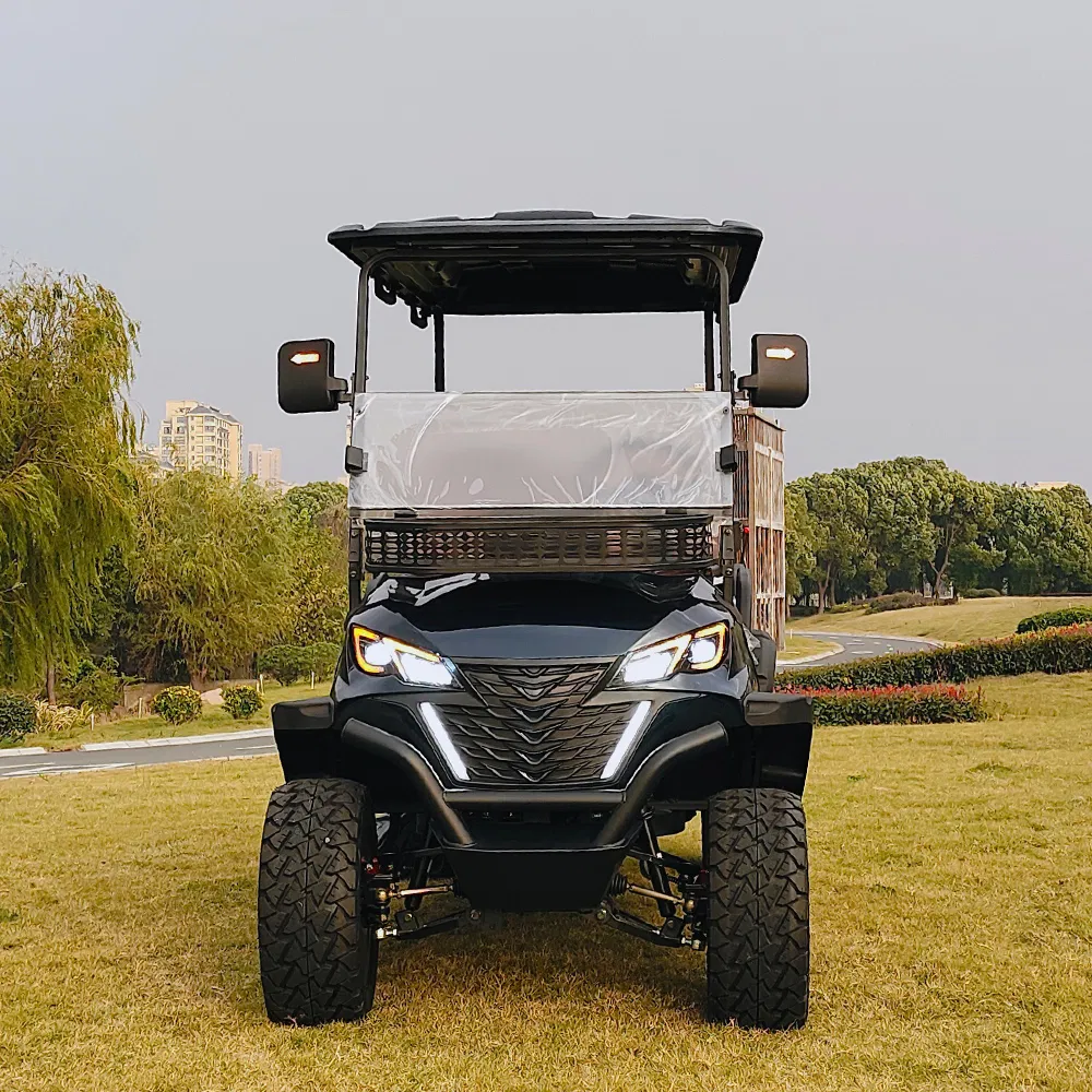 Electric Golf Cart Detail 1