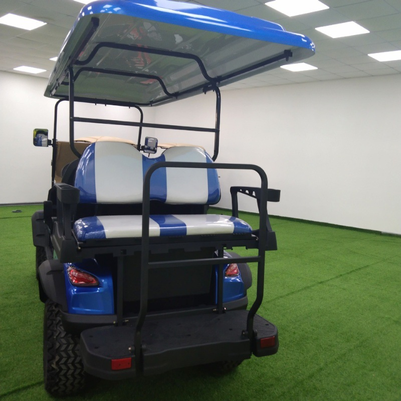 Cart Electric Seater Gasoline Powered Foldable Push Food Delivery South Korea Price Steel Frame 14 Front Axle 6 Gas Golf Carts