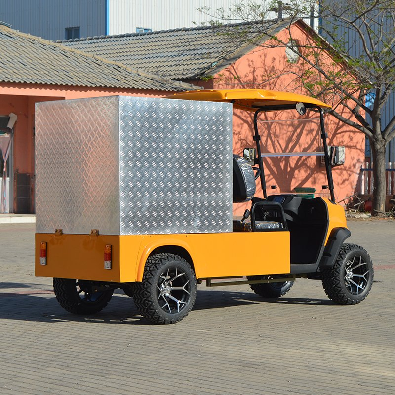 Battery Operated Electric 2 Passenger Utility Golf Cart Electric with Cargo Box