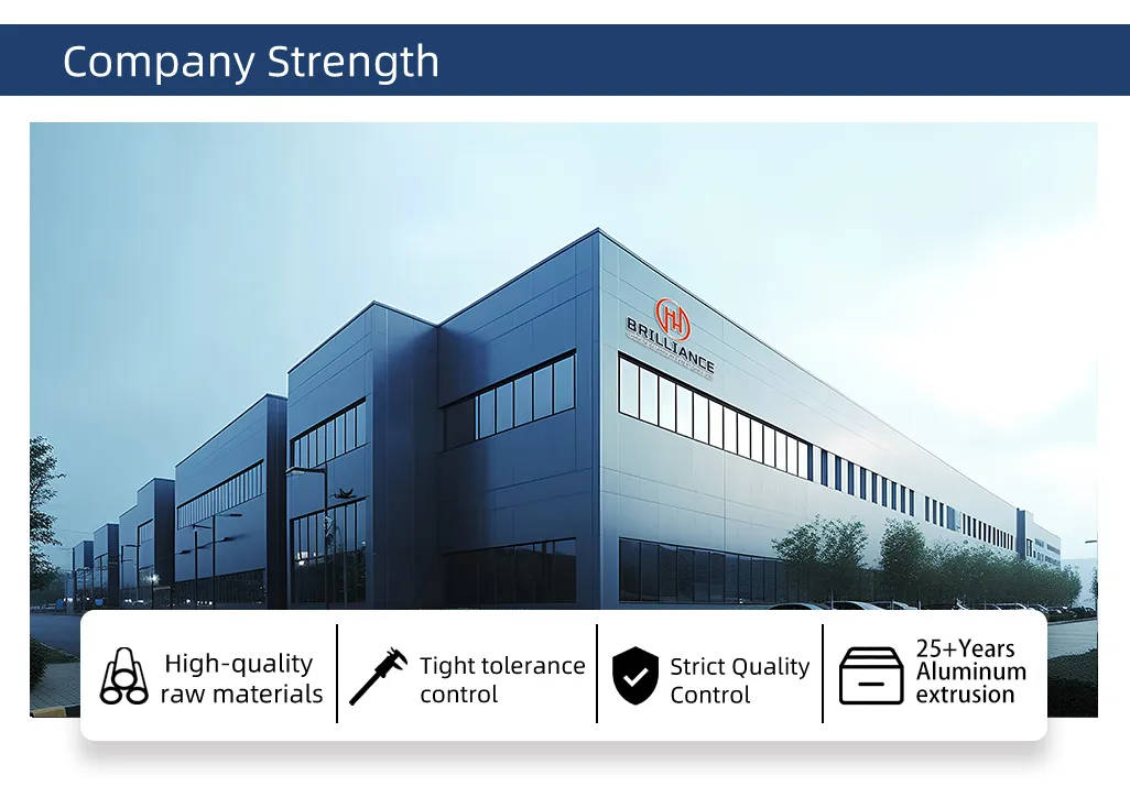 Aluminum Leaf Guard 18