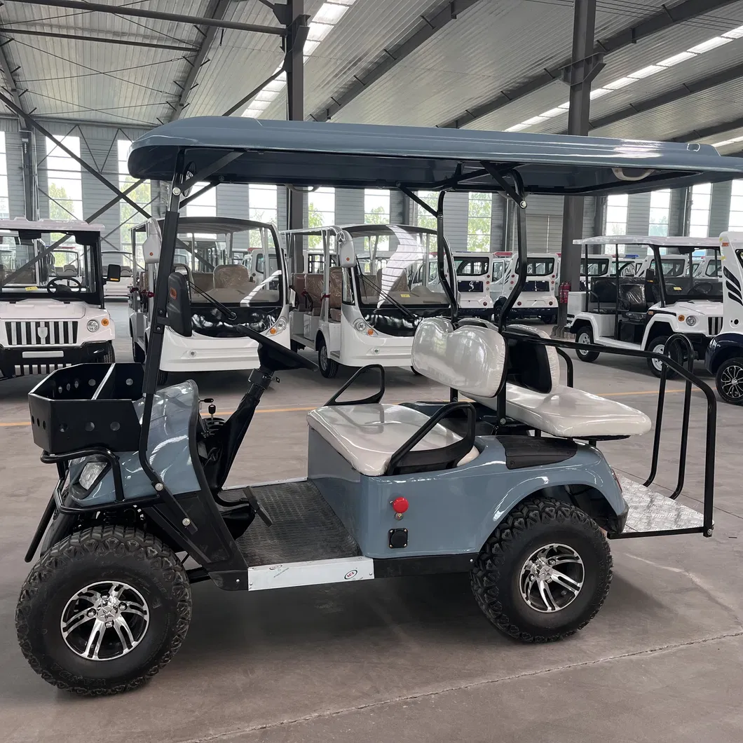 Electric Golf Cart View 5