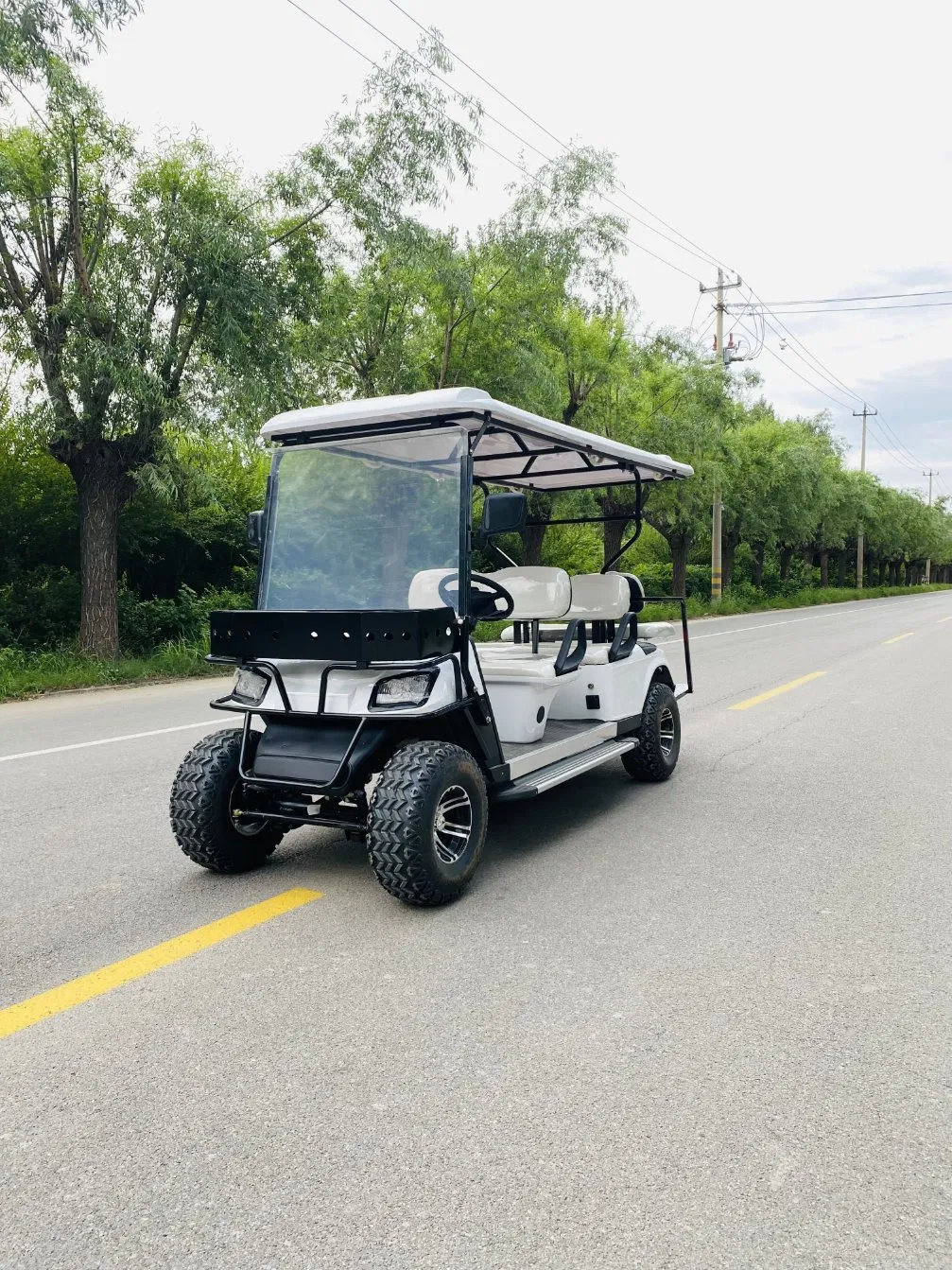 Electric Golf Vehicle