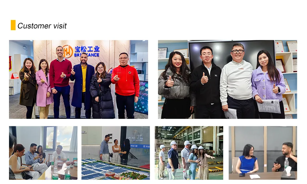 Aluminum Leaf Guard 24