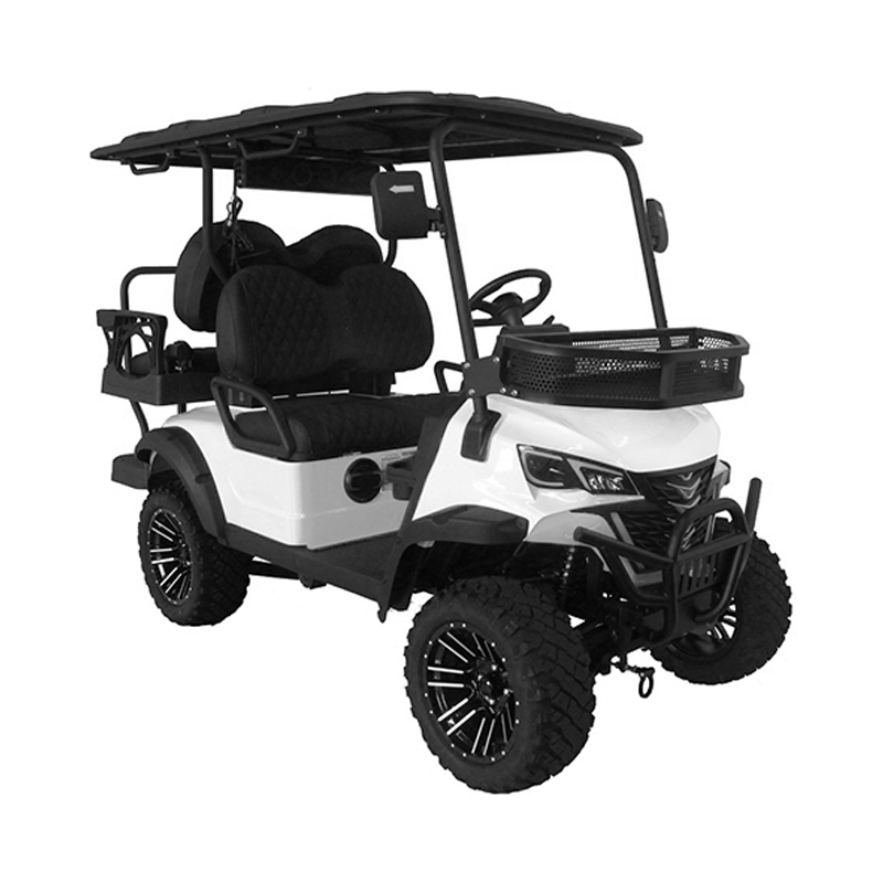 Perfect Black Injection-Molded Roof Golf Buggy for All Golf Cart Dealers