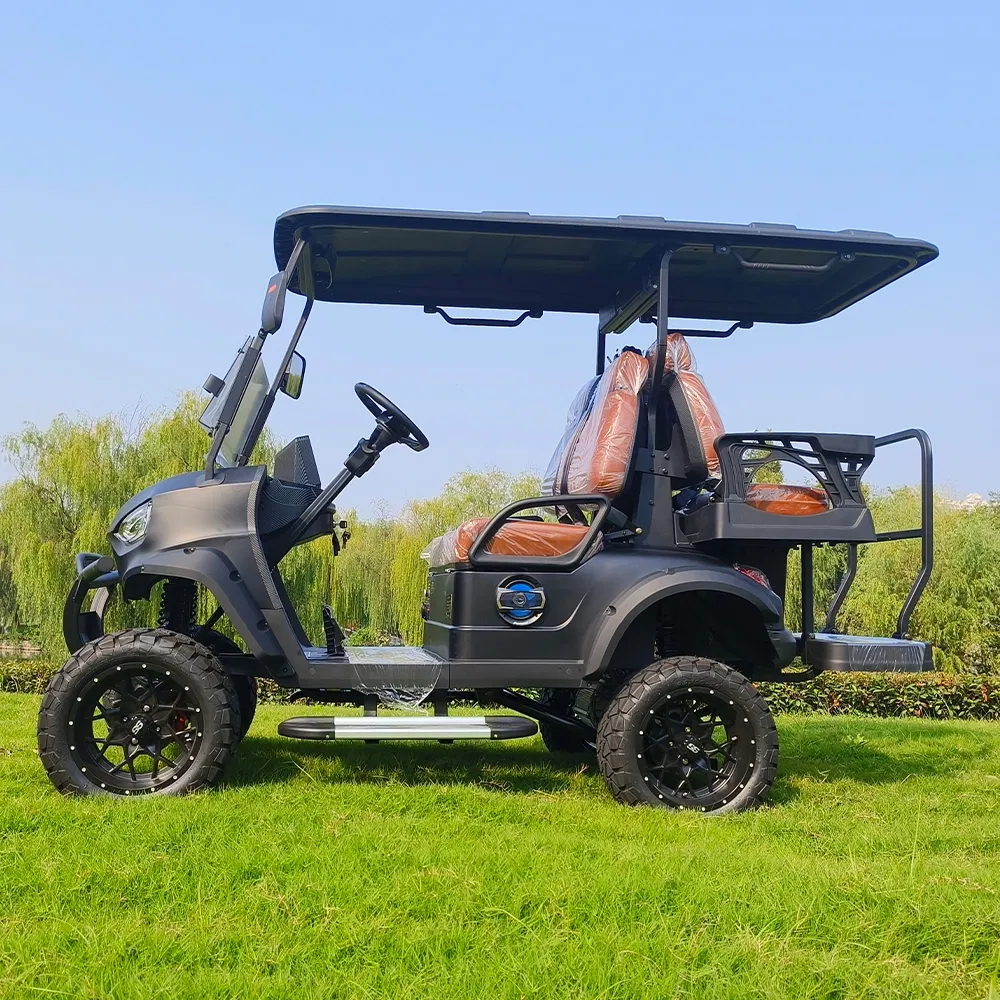 Electric Golf Cart View 2