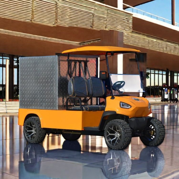 Station Transport Wagon Lithium Battery Cargo Truck Closed Cargo Box with Door Golf Cart