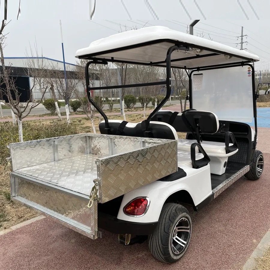 Electric Golf Cart Rear