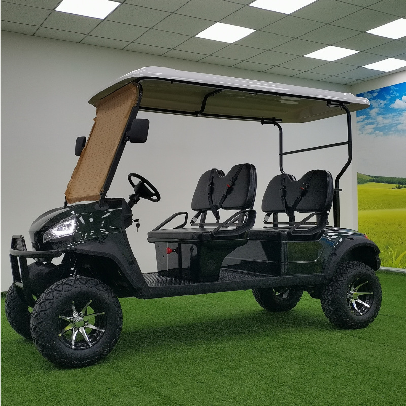 Electric with Club Seat Powered Lithium Carts for Push Ball 3 Wheel Bag Wheels Canopy Cover Deep Cycle Batteries 8 Golf Cart