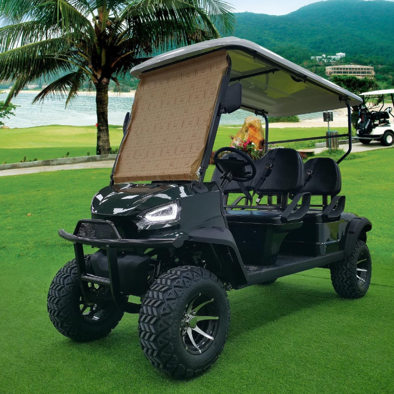 Electric with Club Seat Powered Lithium Carts for Push Ball 3 Wheel Bag Wheels Canopy Cover Deep Cycle Batteries 8 Golf Cart