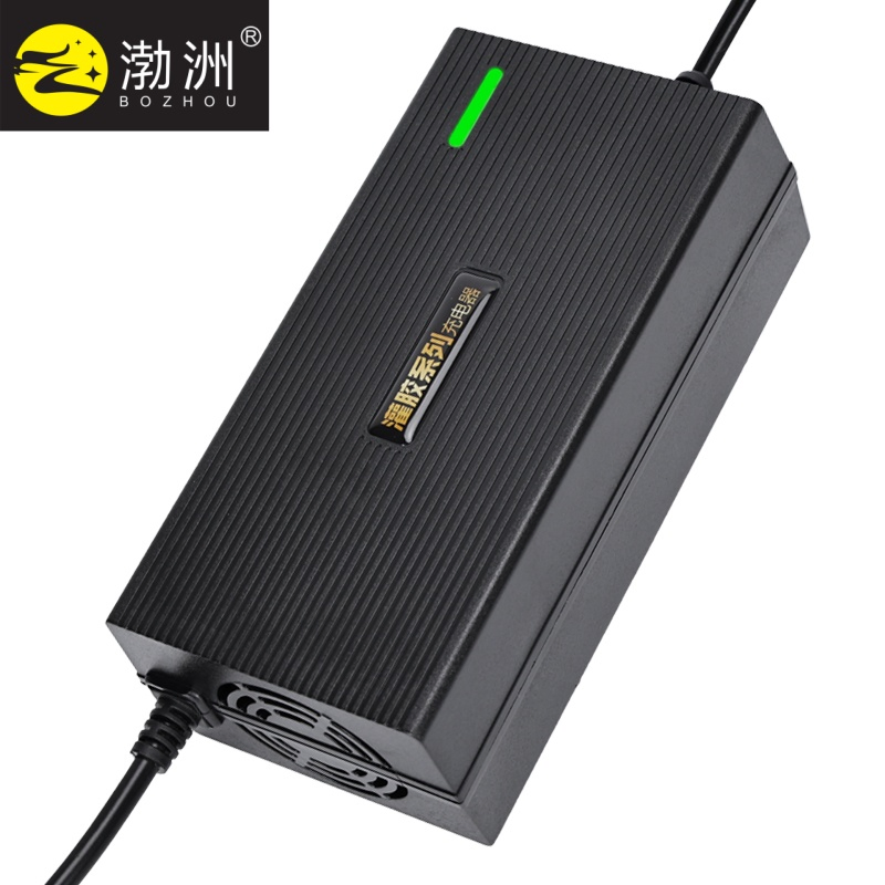 60V9a 54.6V Certificated Golf Cart Marine Battery Charger