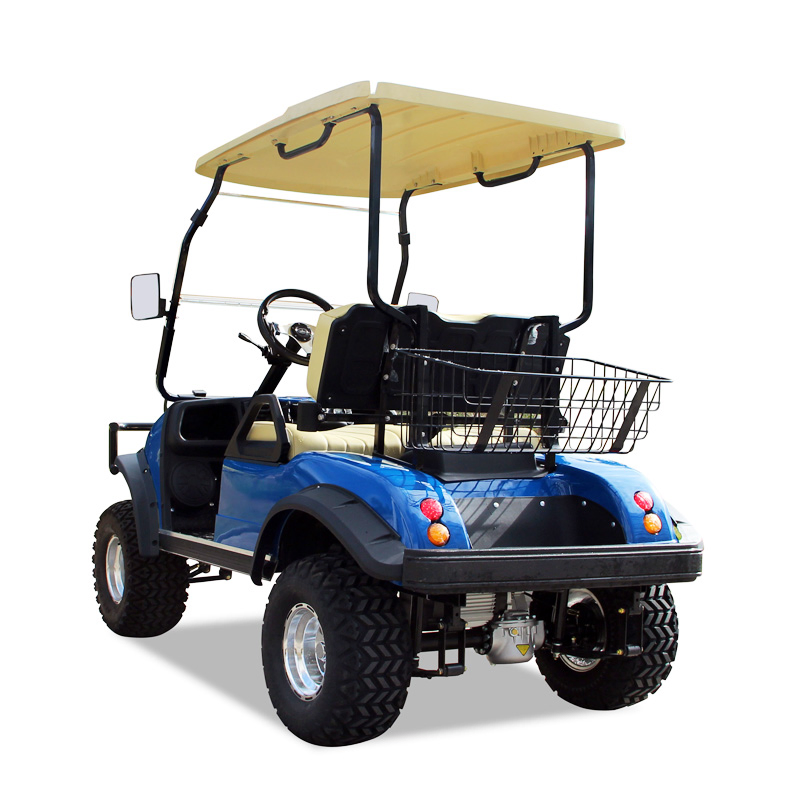 Hdk Wholesale Mini 2 Seat Hunting Golf Cart with Basket Roof